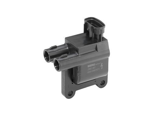 BERU Telaio, Radiatore motore LE558Z LE558Z costo Convogliatore aria BERU BMW Z4