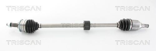 TRISCAN Guarnizione, Copritestata 515-8024 Costo Guarnizione punterie TRISCAN LANCIA 515-8024