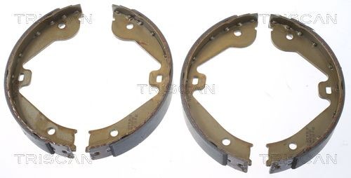 TRISCAN Kit ganasce freni 8100 10022 8100 10022 Ganasce freno MERCEDES-BENZ Classe B TRISCAN costo