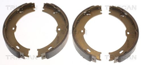 TRISCAN Bromsbacksats 8100 10023 8100 10023 TRISCAN trumbroms Volkswagen GOLF