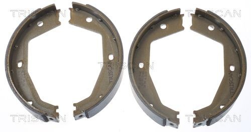 TRISCAN Handbremsbeläge 8100 10034 TRISCAN 8100 10034 Handbremsbeläge DAIMLER Kosten
