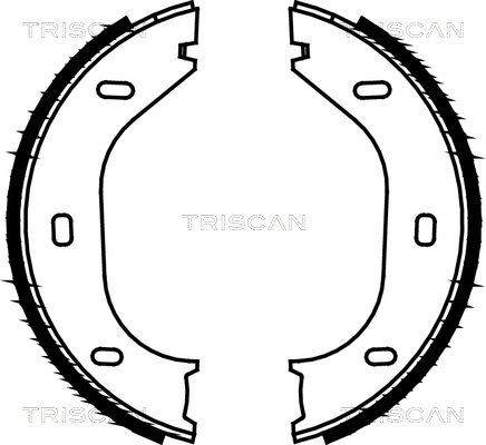 TRISCAN Sada brzd. čeľustí parkov. brzdy 8100 10290 8100 10290 Čeľustí parkovacej brzdy TRISCAN BMW Rad 4