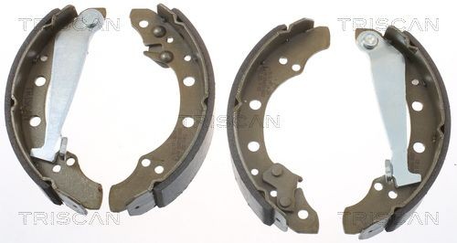 TRISCAN Kit ganasce freni 8100 10520 8100 10520 costo Ganasce freno TRISCAN AUDI A2