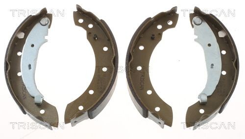 TRISCAN Remschoenset 8100 10572 Mercedes-Benz SL Remschoen TRISCAN 8100 10572