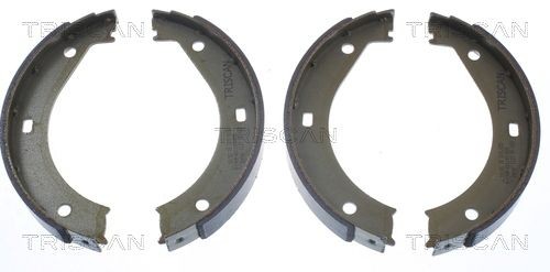 TRISCAN Handbrake shoes 8100 11415 8100 11415 TRISCAN handbrake shoes BMW X5