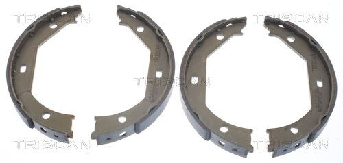 TRISCAN Remschoenset 8100 11638 Hyundai ATOS Remschoen TRISCAN 8100 11638