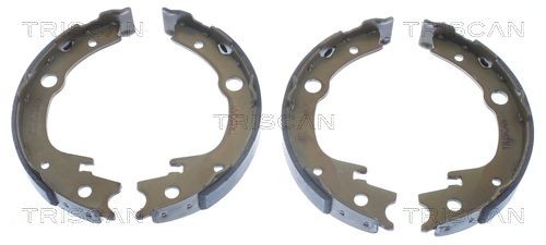 TRISCAN Bremsebakkesæt, parkeringsbremse 8100 13039 Håndbremsebakker TRISCAN Toyota C-HR 8100 13039