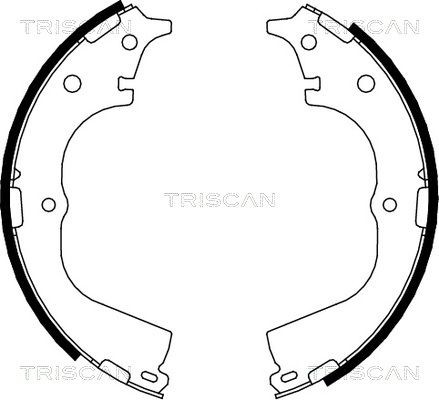 TRISCAN Σετ σιαγόνων φρένων 8100 13557 Σιαγώνες TRISCAN DYNA 8100 13557 φθηνά