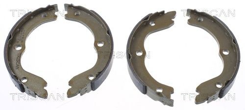 TRISCAN Handbrake shoes 8100 14006 8100 14006 TRISCAN handbrake shoes for NISSAN TIIDA
