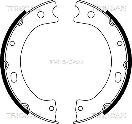 TRISCAN Handbrake shoes 8100 14011 8100 14011 TRISCAN handbrake shoes for NISSAN TIIDA