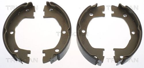 TRISCAN Bremseskosett, håndbrems 8100 15025 Håndbrekksko IVECO TRISCAN 8100 15025
