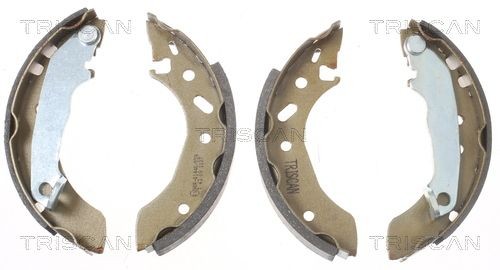 TRISCAN Bremsesko sett 8100 16535 8100 16535 Bremsesko TRISCAN FORD MAVERICK