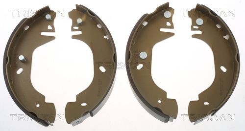 TRISCAN Bremsesko sett 8100 16570 Bremsesko TRISCAN Ford MAVERICK 8100 16570