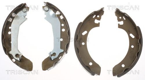 TRISCAN Bremsesko sett 8100 16587 Bremseskosett TRISCAN MAVERICK 8100 16587 billige