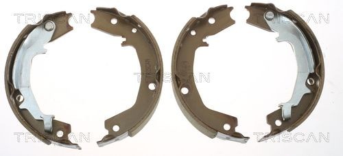 TRISCAN Handbromsbackar 8100 18011 8100 18011 TRISCAN parkeringsbromsbelägg BMW E9