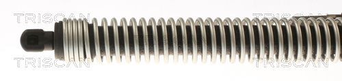 TRISCAN Bremseskosett, håndbrems 8100 24347 TRISCAN Håndbrekksko OPEL 8100 24347