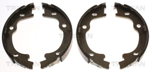 TRISCAN Kit ganasce freni 8100 43021 8100 43021 costo Ganasce freno TRISCAN AUDI A2