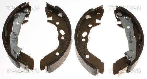 TRISCAN Remschoenset 8100 43627 8100 43627 Remschoenen TRISCAN HYUNDAI ATOS