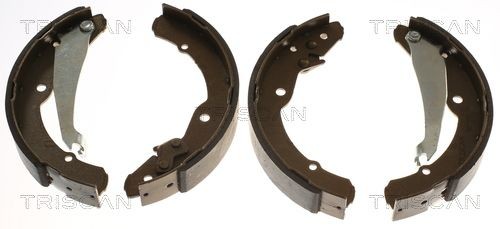 TRISCAN Kit ganasce freni 8100 67631 8100 67631 Ganasce freno TRISCAN AUDI A2 costo
