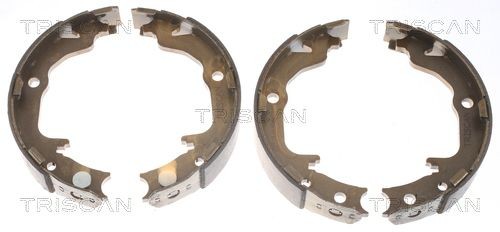 TRISCAN Sada brzd. čeľustí parkov. brzdy 8100 80010 Čeľustí parkovacej brzdy TRISCAN Dodge CALIBER 8100 80010