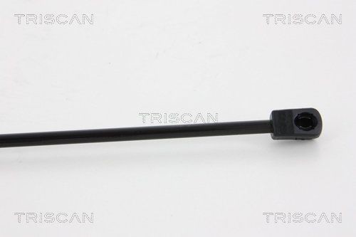 TRISCAN Bremsebelegg, håndbrems 8110 10569 Håndbrekksko TRISCAN Jaguar XF 8110 10569
