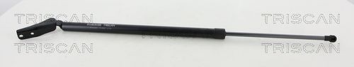 TRISCAN Bremseklosser 8110 10587 8110 10587 TRISCAN Sportsbremseklosser Jaguar billige