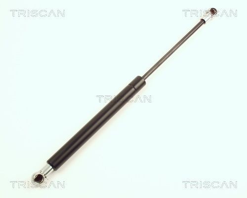 TRISCAN Bremseklodser 8110 29066 Klodser TRISCAN Ford FOCUS 8110 29066