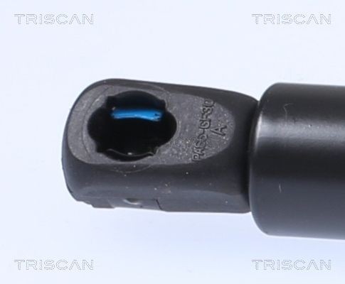 TRISCAN Bromsskiva 8120 12119 TRISCAN 8120 12119 Bromsskivor sport Alfa Romeo 1750 original