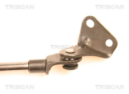 TRISCAN Bromsskiva 8120 15119 8120 15119 TRISCAN Bromsskivor sport Alfa Romeo