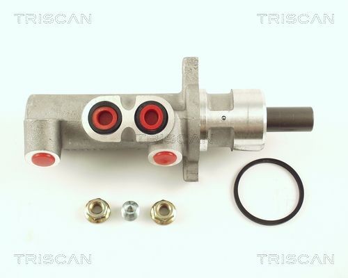 TRISCAN Huvudbromscylinder 8130 16139 8130 16139 TRISCAN Bromshuvudcylinder Ford