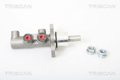 TRISCAN Peapiduri silinder 8130 24149 Piduri peasilinder TRISCAN 156 8130 24149 odav