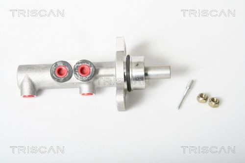 TRISCAN Peapiduri silinder 8130 38110 Piduri peasilinder TRISCAN Peugeot 207 8130 38110