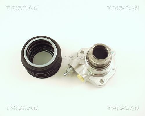 TRISCAN Hulpkoppelingscilinder 8130 65300 TRISCAN 813065300 Hulpcilinder koppeling 900 II Hatchback prijs