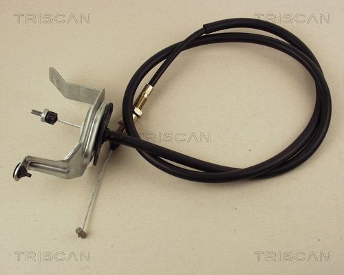 Cavo acceleratore TRISCAN 8140 14306 TRISCAN 8140 14306 costo Cavo acceleratore Nissan SUNNY 2024