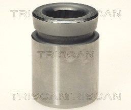 TRISCAN Piest brzdového strmeňa 8170 233306 Piest brzdového strmeňa TRISCAN Saab 900 8170 233306