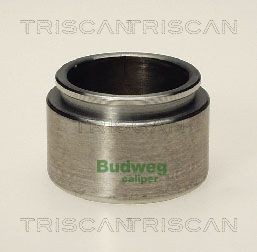 TRISCAN Stempel, bremsecaliper 8170 234317 Stempel bremseklave TRISCAN XK 8170 234317 billige