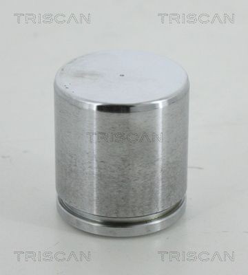 TRISCAN Bromskolv 8170 234613 8170 234613 TRISCAN kolv bromsok LAND ROVER RANGE ROVER