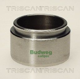 TRISCAN Stempel, bremsecaliper 8170 234801 Stempel bremsecaliper TRISCAN XK 8170 234801 billige