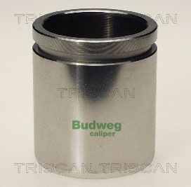 TRISCAN Piston, étrier de frein 8170 234831 Seat IBIZA Piston d'étrier de frein TRISCAN 8170 234831