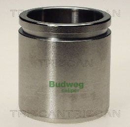 TRISCAN Bromskolv 8170 234841 ALFA ROMEO kolv bromsok TRISCAN 8170 234841