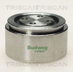TRISCAN Piest brzdového strmeňa 8170 235402 Piest brzdového strmeňa TRISCAN 900 8170 235402 lacné