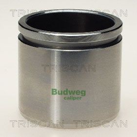 TRISCAN Pistoncino pinza freno 8170 235431 8170 235431 Pistoncino pinza freno TOYOTA AYGO TRISCAN costo