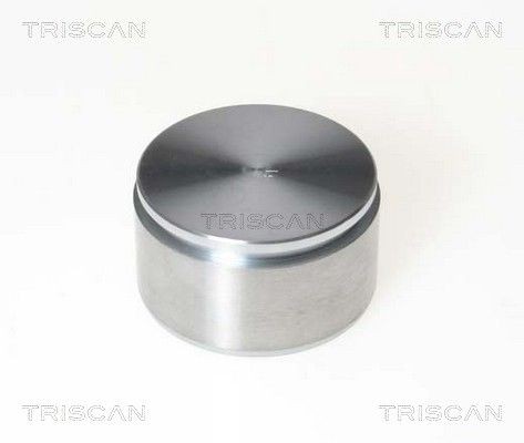 TRISCAN Bromskolv 8170 235450 8170 235450 Bromskolv TRISCAN MERCEDES-BENZ B-klass