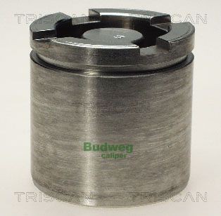 TRISCAN Piest brzdového strmeňa 8170 235459 Piest brzdového strmeňa TRISCAN 2CV 8170 235459 lacné
