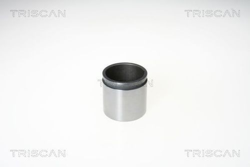 TRISCAN Πιστόνι, δαγκάνα φρένων 8170 235476 Πιστόνι δαγκάνα φρένων TRISCAN Volkswagen PHAETON 8170 235476