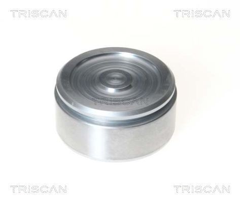 TRISCAN Pistoncino pinza freno 8170 236027 8170 236027 Pistoncino pinza freno TRISCAN MERCEDES-BENZ VIANO costo