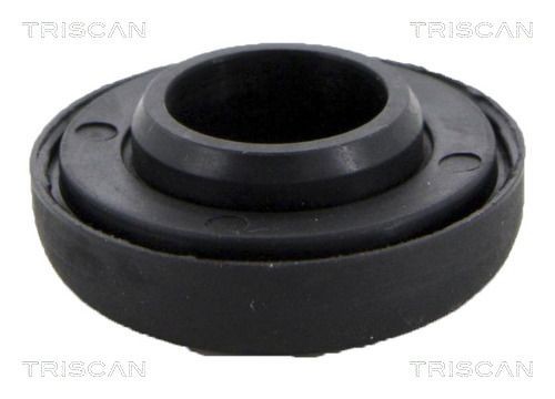 TRISCAN Laager, amorditugilaager 8500 10939 Amordi tugilaager TRISCAN RAV 4 8500 10939 odav