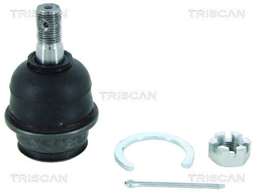 TRISCAN Kande- / juhtliigend 8500 13552 Šarniir TRISCAN AURIS 8500 13552 odav