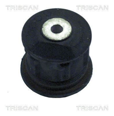 TRISCAN Piekare, Tilta sija 8500 16815 8500 16815 Piekare tilta sija FORD MONDEO TRISCAN