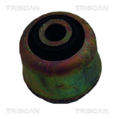 TRISCAN Suspensão, braço oscilante 8500 25807 TRISCAN 850025807 Apoio caixa do rolamento da roda Renault Megane LA preço
